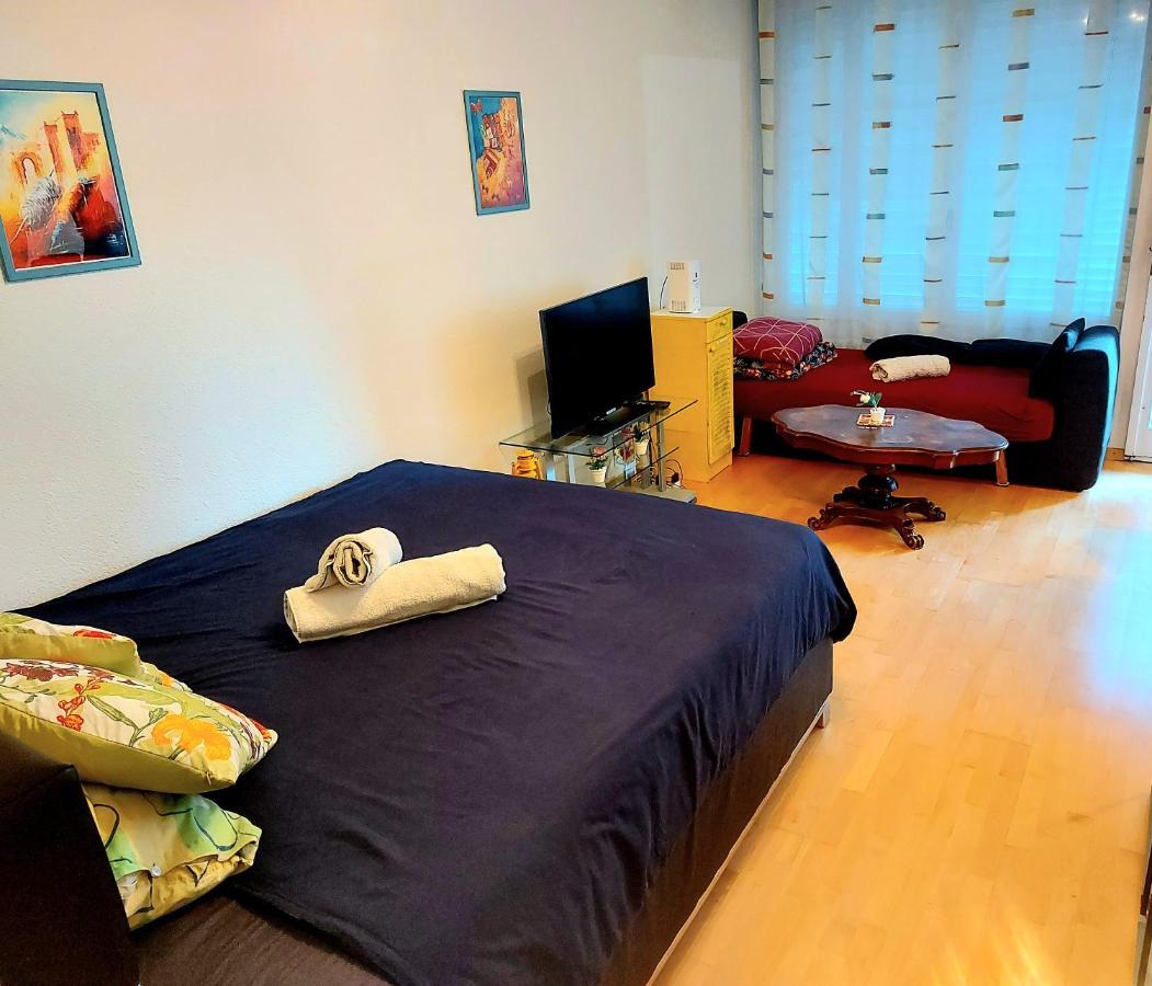 Large Apartment Bern City Centre Экстерьер фото